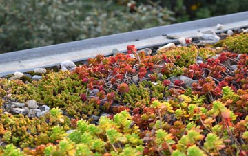 the cost of Burgh Muir green roof installation