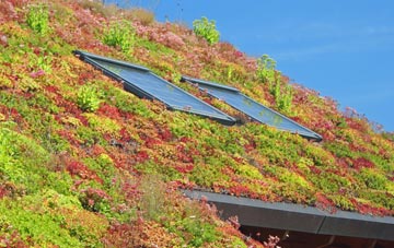 Burgh Muir living roof systems