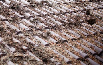 Burgh Muir roof cleaning companies