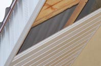rated Burgh Muir soffit repair companies